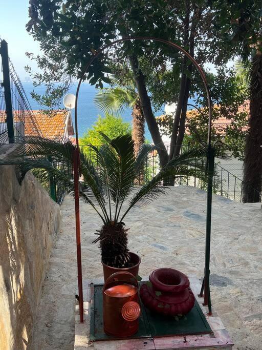Appartement Bueyuekada Al Koesk à Adalar Extérieur photo